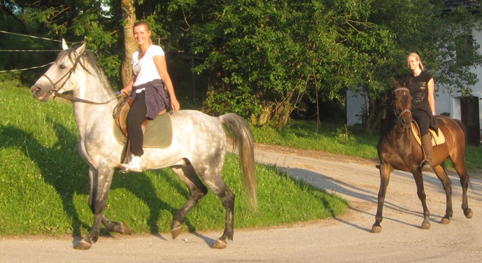 horseback riding austria