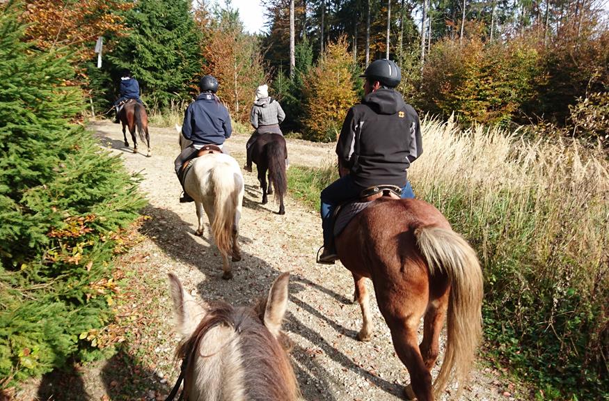 Reiten mit der Freundin